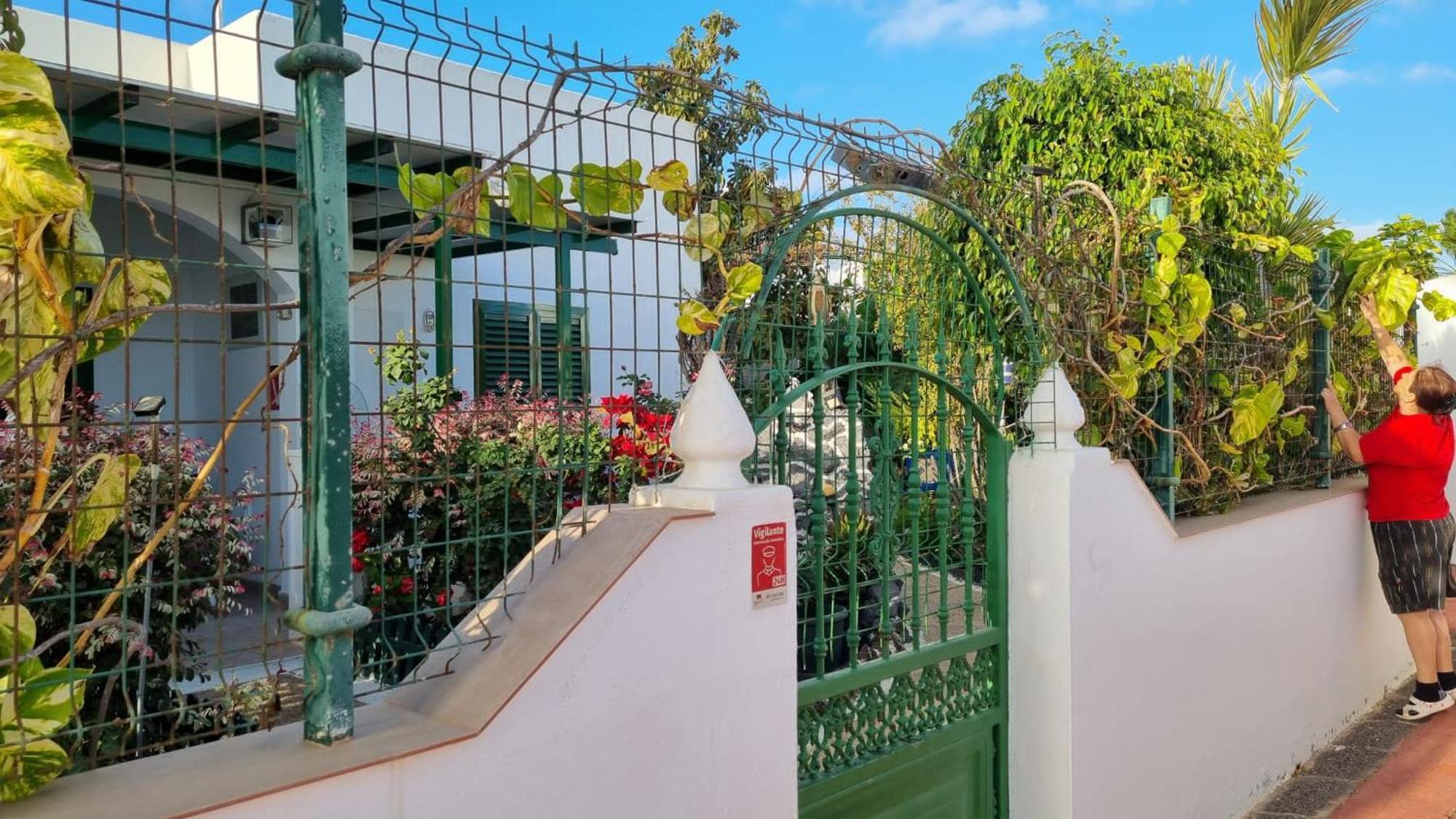 Apartamento Bungalows Isabel Maria Playa Blanca  Exteriör bild